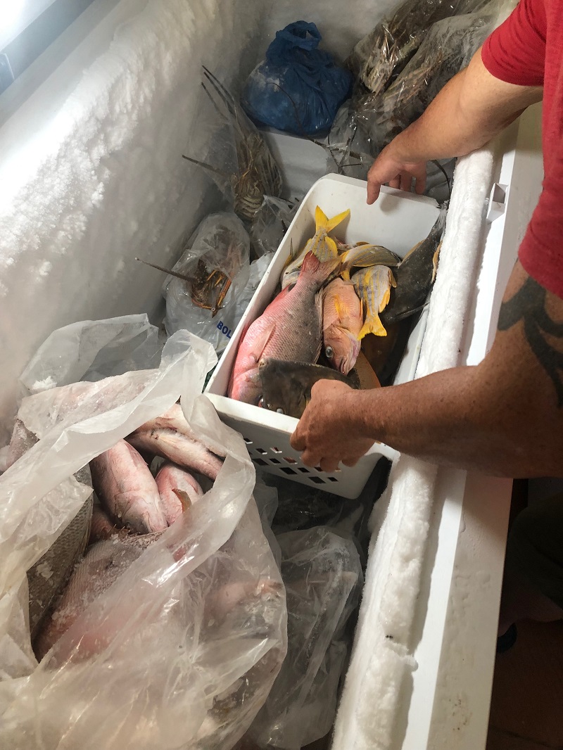 A sink filled with fresh fish.
